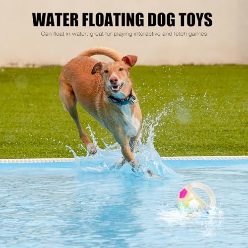 Dog Toy Ball with Handle, Toss and Fetch Play, Interactive Ball for Dogs Playing, Squeaky Floating (Transparent) - color: Transparent with tennis ball inside (1-pack)
