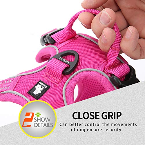 JUXZH Truelove No Pull Dog Harness with Easy Control Handle and 2 Leash Attachments,Reflective Adjustable Pet Vest - color: Fuchsia, size: Small (Pack of 1)
