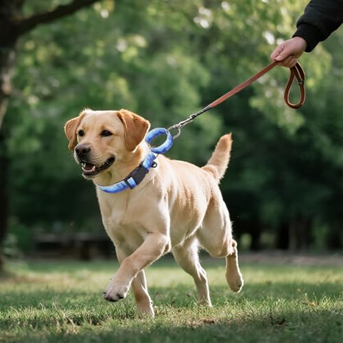 KOOLTAIL Martingale Collar for Dogs for Small Medium Large Dogs, Soft Padded Nylon No Pull Dog Collar with Buckle, Adjustable No Slip Heavy Duty Durable Puppy Training Collar for Boys Girls, Blue M