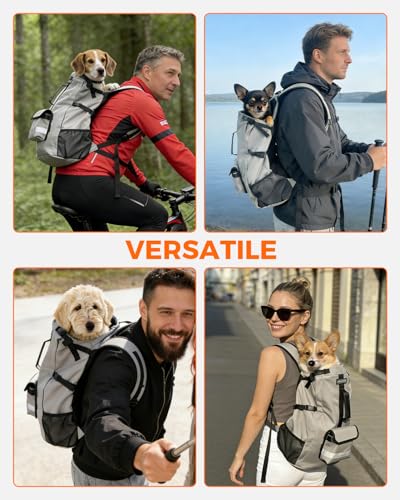 Waterproof Dog Backpack Carrier for Small Dogs Under 24 lb, Grey | 4-Layer Protection, Adjustable Dog Hiking Backpack with Storage Pockets, Reflective Strips, Non-Slip Handle for Travel - size: 10.2"L x 6.6"W x 21.2"H