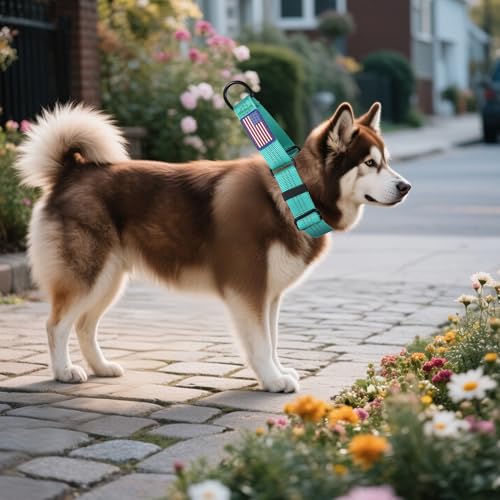 Martingale Dog Collar Quick Release Buckle No Pull Reflective Non-Slip for Medium Large Dogs Training (Teal, Large) - color: Teal, size: Large (Pack of 1)
