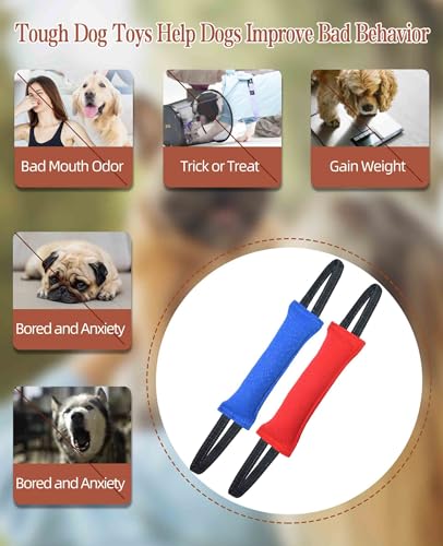 Clysoru Dog Tug Toy Double Pack Tough Jute Bite Pillow Training Equipment Puppy to Large Dogs Interactive - color: Blue red