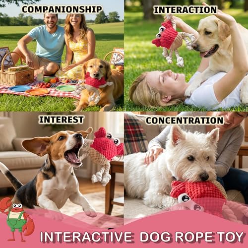 Plush Squeaky Crab Dog Toy with Rope Legs - 5.5''X9.5'' Durable Dog Chew Toy for Small Dogs | Built-in Whistle Sounds | Teeth Cleaning | Interactive Dog Toys (RED)