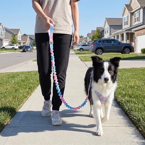 Dog Leash for Small to Medium Dogs, Shock Absorbing Dog Leashs, Dog Walking Leash, Dog Training Leashs, Ombre Color, 4-5.5 Feet(Pink-Blue Ombré) - color: Pink-Blue Ombré