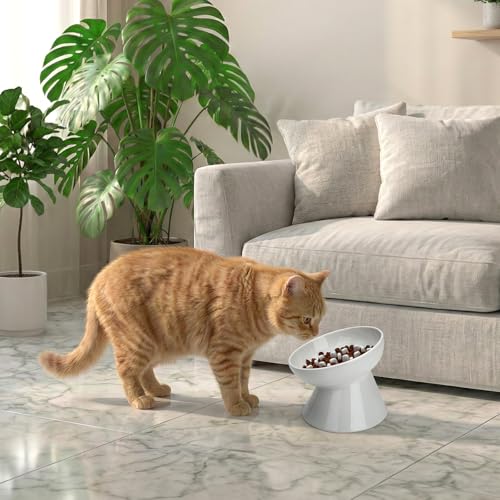 Ceramic Slow Feeder Cat Bowl, 2 Cups Tilted Elevated Cat Slow Feeder Bowl for Dry and Wet Food, Honeycomb Design for Preventing Vomiting & Bloating (White-Honeycomb) - color: White-Honeycomb