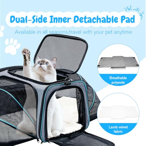 Double Expandable Cat Carrier,Airline Approved Soft-Sided Pet Travel Carrier for Small Dogs Cats under 15 lbs,Waterproof 600D Oxford Fabric with Washable Replacement Liner,Odor-Free & Claw-Proof(Blue) - color: Blue