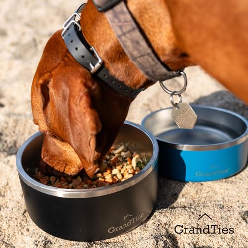GrandTies Stainless Steel Dog Bowl | Engraved Reusable BPA-Free Insulated Cat & Dog Bowls | Large Heavy Duty Non Skid Spill Proof Bowl | Outdoor Dog Water Bowl (42oz, Powder Green) - color: Powder Green, size: 42oz