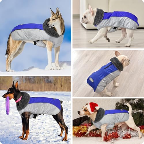 Petglad Dog Coat, Waterproof Ripstop Dog Winter Jacket with Leash Hole, Reflective Adjustable Warm Pet Fleece Snow Sweater for Small Medium Large Dogs - Blue, L - color: Blue, size: L