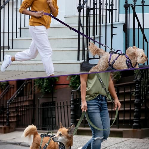Heavy-Duty Tactical Dog Leash for Medium & Large Dogs, 6-in-1 Hands-Free Lead for Training, 4-7.5FT Adjustable Waist Belt for Walking (Onyx Black) - color: Black