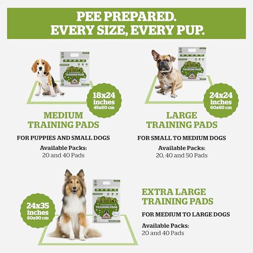 Pogi’s Dog Pads with Sticky Tabs – Large, Super Absorbent, Odor Blocking, 20-Count (24x24in) - size: Large - 24 x 24"