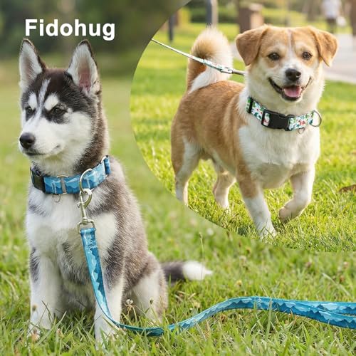 5ft Nylon Dog Leash with Soft Neoprene Handle for Small Dogs, Blue Sunset - color: Blue Sunset, size: 5/8in x 5ft - Single Handle