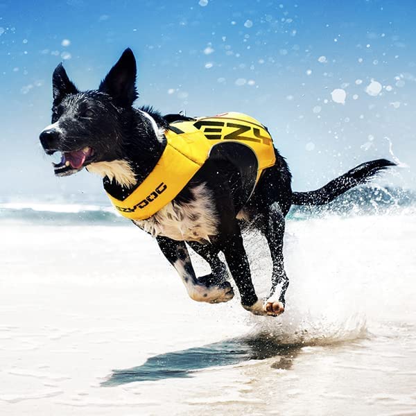 EzyDog DFD X2 Dog Life Jacket - Adjustable Swimming Safety Life Vest Preserver with Continuous Neck Flotation, Reflective Trim, & Grab Handle (4XS, Pink) - color: Pink, size: 4XS