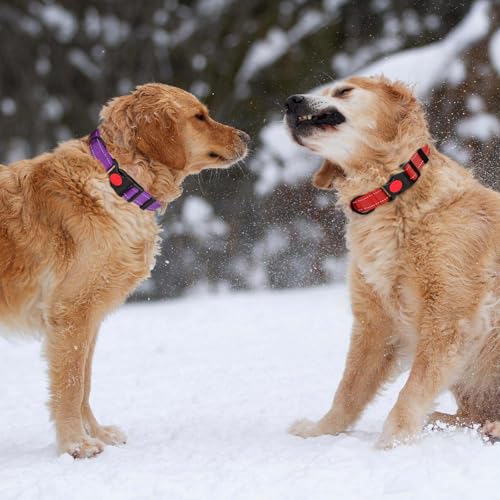 3 PCS Dog Collars for Small Dogs,Reflective Dog Collar Adjustable Soft Nylon with Safety Locking Buckle Girl Dog Collars,Hotpink+Purple+Red,XS - color: Hotpink+Purple+Red, size: XS:9-13",width 5/8"