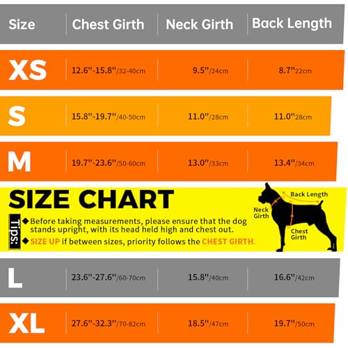 Lelepet Reusable Dog Diapers Female, Dog Period Panties, Washable Belly Band Dog with Suspenders, Girl Dog Diapers for Heat, Soft Adjustable Small Doggy Onsie with Hole Tail, Purple, XS - color: Purple, size: XS