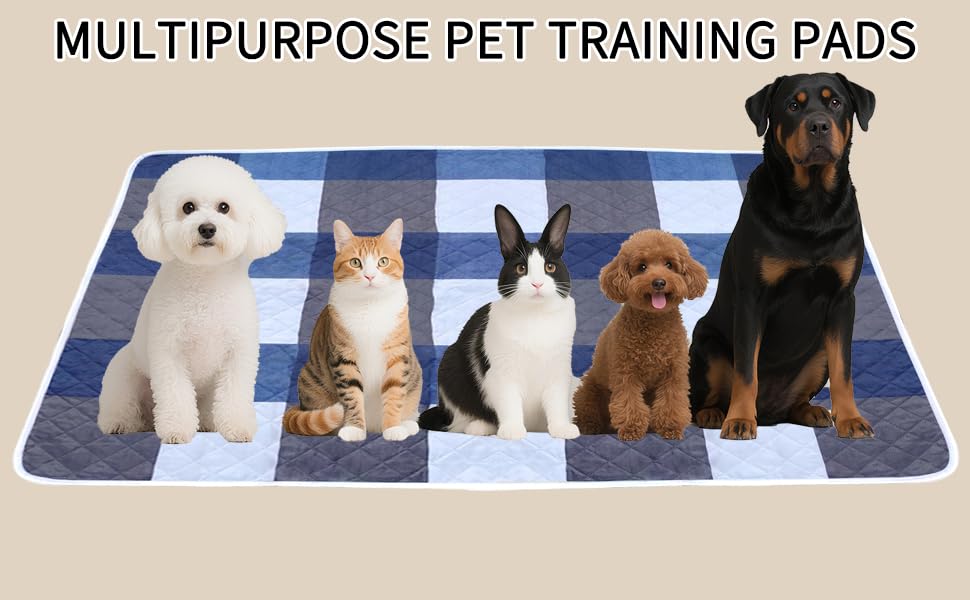 Washable Pee Pads for Dogs with 4-Layer Integrated Waterproof Design, Reusable Super Absorbent Non-Slip Puppy Pads for Crate Training, Home Floor Protection , 20‘’×28‘’ Pack of 2 - size: 20"×28" Pack of 2