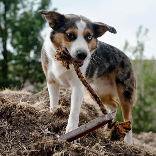 Carhartt Pet Training Tools, Rugged Dog Tool for Tug, Fetch and Play, Bumper Compressed Flet (Carhartt Brown) - color: Bumper Compressed Flet (Carhartt Brown)