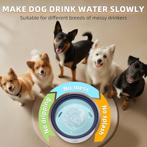 Decflow 1.2Gallon Dog Water Bowl No Spill, 4.5L Large Capacity Spill Proof Dog Bowls with Transparent Floating Disk, No Splash Slow Drinking Dog Bowl for Sloppy Messy Drinkers - color: D-Blue