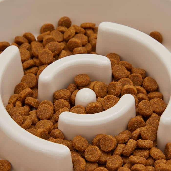 EveryYay by Petco Take it Slow White Slow Feeder Pet Bowl 5.25 Cups - size: Large