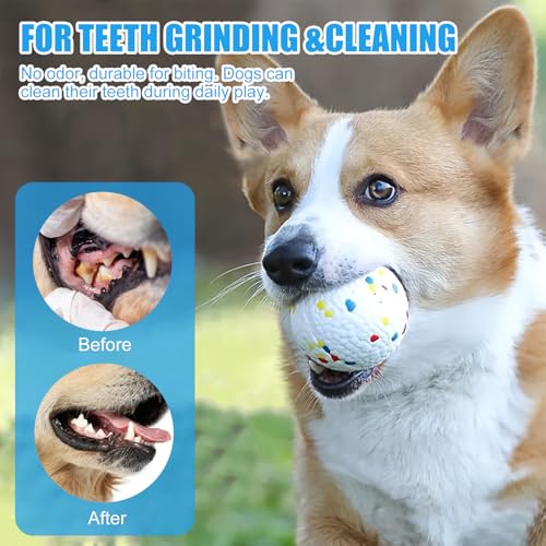 Etpu Dog Tennis Balls - Durable Bouncy chew Toys for Small Medium and Large, Interactive Fetch Training, Squeaky Tennis Balls for Aggressive Chewers, Water Resistant Dog Toys, 6 Pack (7cm White) - size: 6 Pack – 7cm White