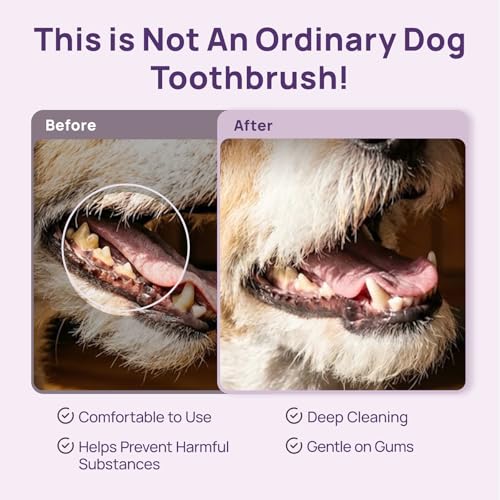 HICC PET Toothbrush for Dogs & Large Cats, Ergonomic Pet Toothbrush for Easy Teeth Cleaning,Gentle on Gums, Cat & Dog Dental Care – Toothpaste Not Included - color: Purple for Dogs & Large Cats