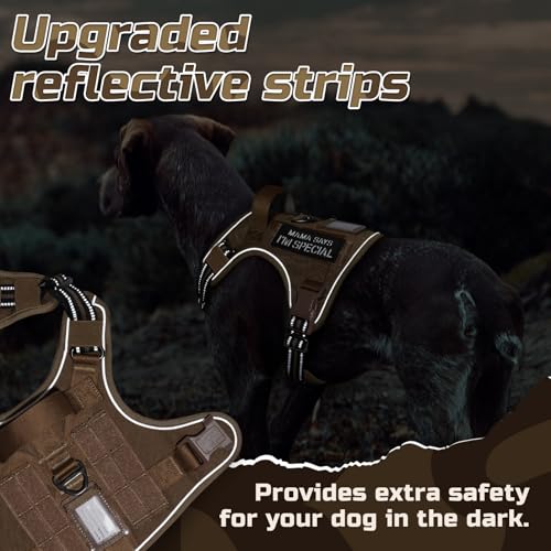 rabbitgoo Tactical Dog Harness Medium Sized Dog, No Pull Military Service Vest with Handle & Molle, Easy Control for Training Walking, Adjustable Reflective Straps, Brown, M - color: Brown, size: Medium