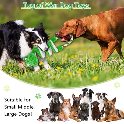 Letsmeet Interactive Squeaky Dog Toys with Pull Rope, Large Dog Tug of War Toy, Plush Puppy Chew Toys for Dental Health, Great for Small, Medium and Big Dogs - color: Green