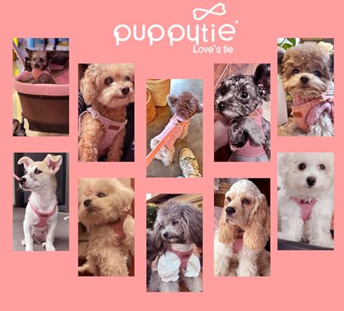 Puppytie No Pull XXS Puppy Harness with Multifunction Dog Leash,Soft Adjustable No Choke Escape Proof Pet Harness Vest,Pink,XXS - color: A-Pink, size: XXS(2.2-6lb)