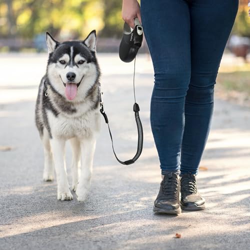 PetiFine Retractable Dog Leash,30 FT Heavy Duty Dog Walking Leash for Medium Large Dogs up to 110 lbs, Upgraded No Tangle Long Retractable Dog Lead - size: Large-30 Feet(Cord)