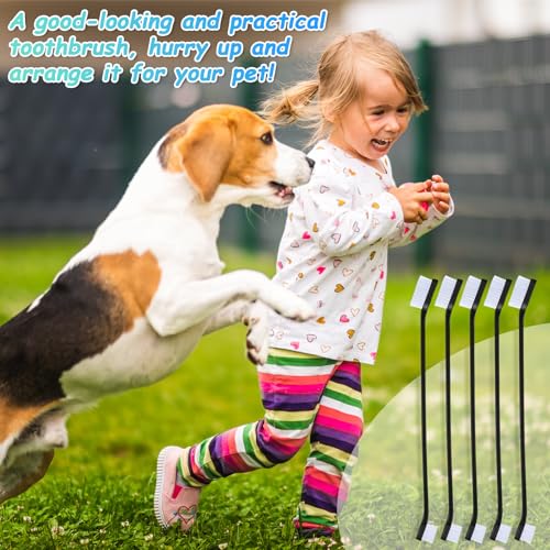 Honeydak Dog Toothbrush Bulk Dual Headed Dental Brushes Dogs Tooth Brushing Kit Long Handle Pet Tooth Brush for Puppy Large Small Cats and Most Pets Teeth Cleaning Dental Supplies(70 Pcs,Black) - color: Black