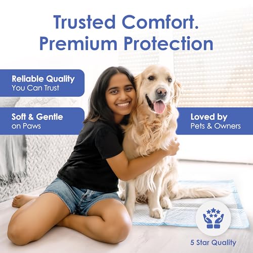 American Kennel Club Scented Puppy Training Pads with Ultra Absorbent Quick Dry Gel – 28 x 30 Pee Pads for Dogs - Fresh Scented - 50 Count, XL (Pack of 2) - size: 28 x 30 - 50 Count (Pack of 2)