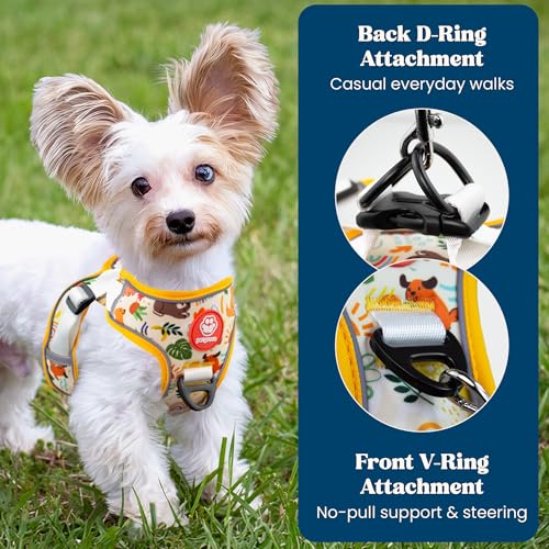 Step in Small Dog Harness and Puppy Harness – No Pull No Choke Reflective Mesh Vest with Front & Back Clips for Tiny XXS and Extra Small Dogs (Modern Dog, XXXS) - color: Modern Dog, size: XXXS