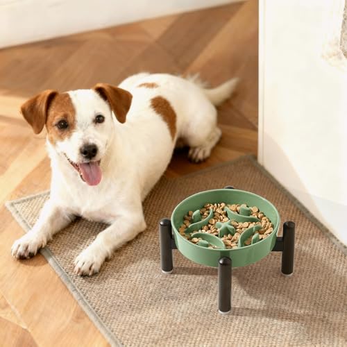 Elevated Slow Feeder Dog Bowl, 0.8 Cups Ceramic Raised Slow Feeder with Stainless Stand, 6.3 Inch Wide Lifted Dog Bowl for Small Breeds to Control Eating Speed, Green - color: Green, size: Small with Stand