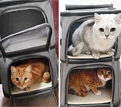 Double Cat Carrier, Cat Backpack Carrier for 2 Cats, Multi Dog Backpack, Two Cat Carrier with 7 Ventilation Windows, Built-in Frame and Support Plate, Safety Straps, Collapsible, Perfect for Travel - color: Grey Double
