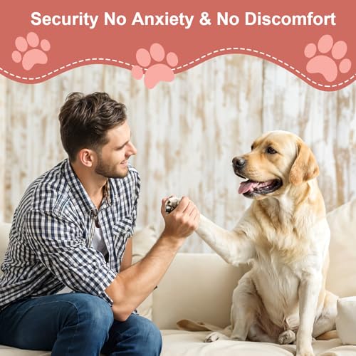 CIATBYYJ Dog Nail File with 6Pcs Replaceable Filing Disc, Dog Scratch Board for Safe and Easy Nail Care, Dogs Nails Scratch Board Ensures Smooth and Healthy Nails for Dogs and Cats