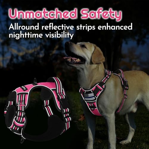 Eagloo Dog Harness Small Sized, Easy Wearing with 3 Buckles, Adjustable No Pull Pet Harness with 2 Rings for Walking, No Chock Reflective Soft Padded Vest with Control Handle, Pink & Black, S - color: Pink & Black, size: Small