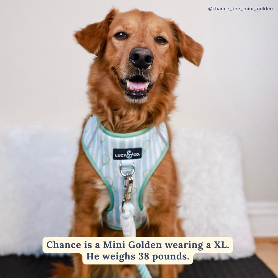 Lucy & Co. The Match Point No-Pull Dog Harness - Size X-Large- Vest to Stop Pulling & Walk Easy - Comfortable Leash Training Product w/Adjustable Chest & Neck Straps - color: The Match Point No-Pull Harness, size: X-Large