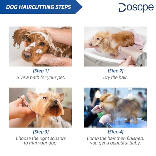 6 in 1 Professional Dog Grooming Scissors Set Pet Hair Cutting Shears Kit, Stainless Steel with Safe Rounded Tips for Dog Cat Other Animals, Right Left Handed