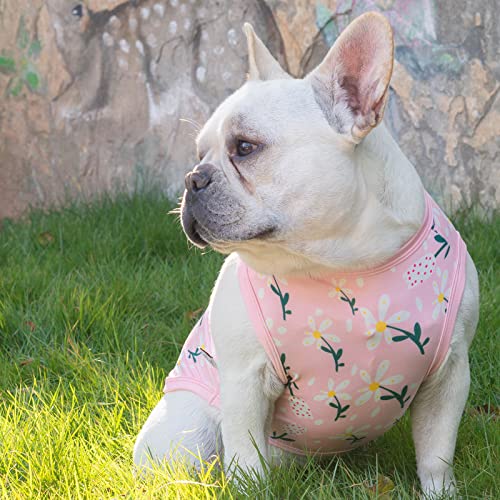 CuteBone Dog Shirts 2-Pack Soft Pet Clothes Breathable Summer Vest for Small Puppy and Stretchy Cat Apparel - color: Flowers&pineapple, size: Small
