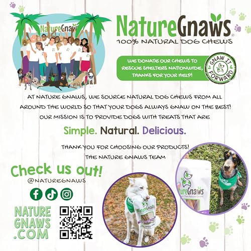Nature Gnaws Extra Thin Bully Sticks for Small Dogs 5-6" (10 Count) - Long Lasting for Light Chewers and Puppies - Natural Beef Dog Chew Bones - size: 10 Count (Pack of 1)