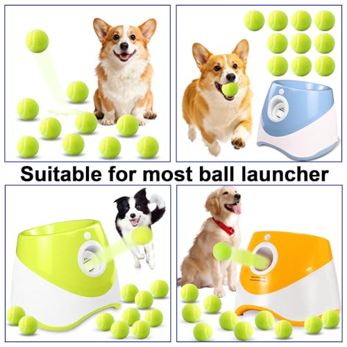 10 Pack of 2 Inch Mini Tennis Balls for Small Dogs, Fetch & Chew Toys, Compatible with 2" Automatic Ball Launchers for Interactive Play (Green 3)