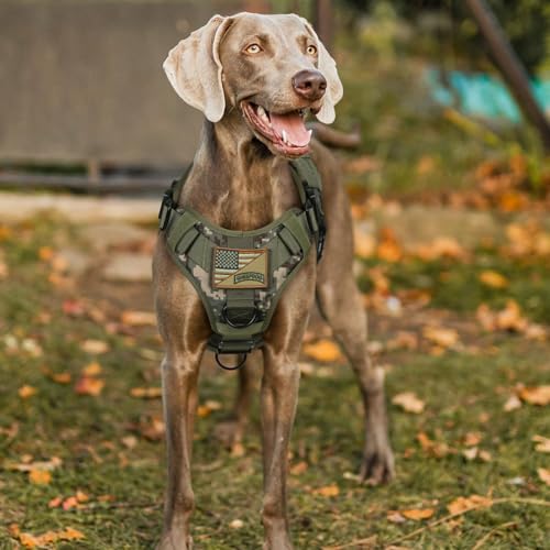 rabbitgoo Tactical Dog Harness Medium Sized, Heavy Duty Pet Harness with Handle, No-Pull Service Vest Medium Breed, Adjustable Military Dog Vest for Training Hunting Walking, Green Camo, M - color: Green Camo, size: Medium