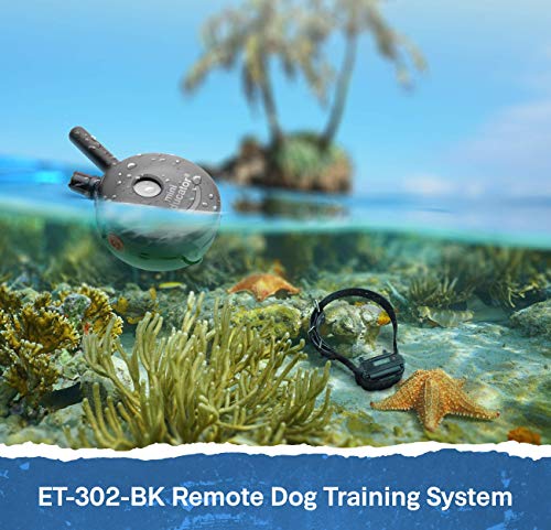 Educator ET-302 Black Mini E Collar for Dog Training with Remote - 1/2 Mile Range, Waterproof, 100 Blunt Stimulation Levels, Tone or Vibration Mode, Night Light for Small, Medium & Large Dogs (2 Dogs) - size: 2-Dog (ET-302 Black)