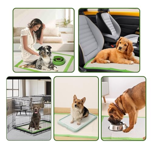 Gardner Pet Dog Pee Pads Rugular 22"x22", Thicker ECO Green Small Disposable Puppy Training Pads Super Absorbent Full Edge-Wrapping Pad for Dogs, Puppies, Doggies, Cats-(40 Count) - size: 22"x22"-40 Count