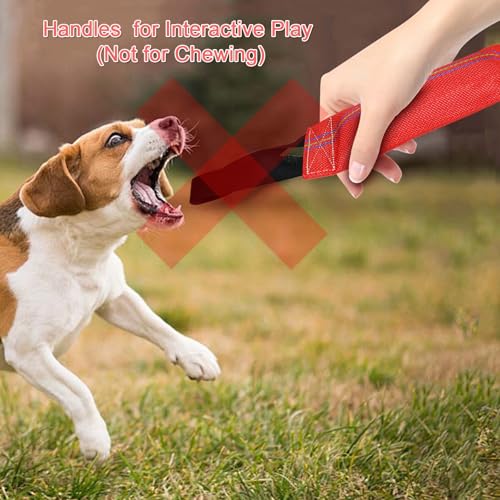 Floating Dog Toy for Pool, Medium & Large Dogs, Lightweight Interactive Tug of War, Fetch & Retrieving Water Toy for Beach, Dock Diving & Outdoor Training