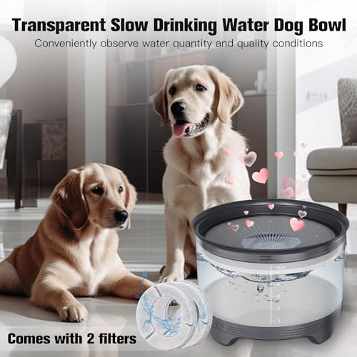 UPSKY 5.5L Dog Water Bowl,186oz Large Capacity, No Spill Anti-Slip Slow Drinking Pet Feeder for Messy Drinkers - color: Gray