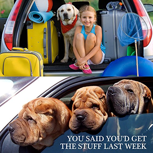 YuCool Dog Seat Belt,4 Piece Set Dog Car Adjustable Seatbelts for Vehicle Nylon Pet Safety Heavy Duty & Elastic Car Harness for Dogs