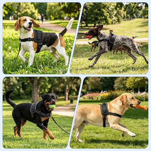 No Pull Dog Harness, Upgraded Padded No-Choke Pet Vest with Front and Back Clips, Effortless Walking Adjustable Dog Gear with Traffic Handle and Reflective Straps for Training (Black,M) - size: M