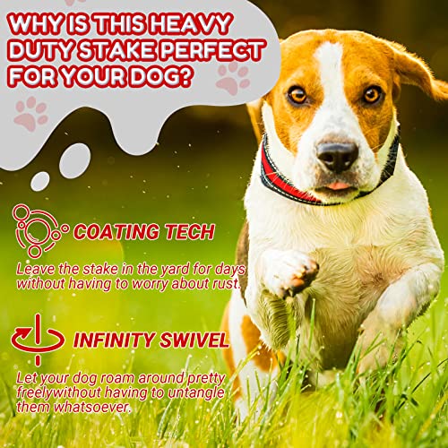 Amylove 2 Pcs Dog Tie Out Cable and Stake, 16 ft Outside Leash Cable Chain for Medium to Large Dog up to 125 Lbs, 18'' Heavy Duty Reflective Spiral Stake for Yard Camping Running Play(Red) - color: Red