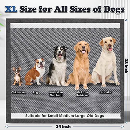 Gimars Upgrade Odor-Control Extra Large XXL Charcoal Pee Pads for Dogs - Thicken 9 Layers Ultra Absorbent Leak-Proof Puppy Training Pads Quick Dry - size: 28X34 Charcoa 50Count