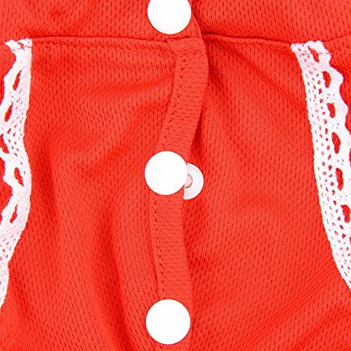 SMALLLEE_LUCKY_STORE Red Lace Girl Dog Diapers for Female with with Suspender Washable Reusable Cloth Sanitary Pants for Heat Cycle Incontinence Puppy Training - size: M